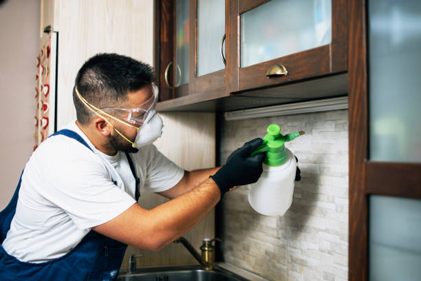 Best Emergency Pest Control  in Eastpointe, MI