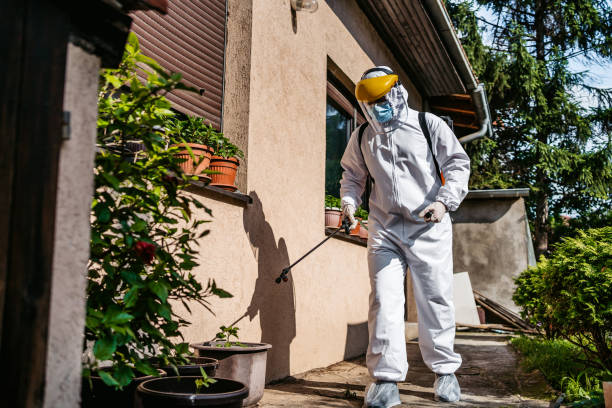 Best Pest Prevention Services  in Eastpointe, MI