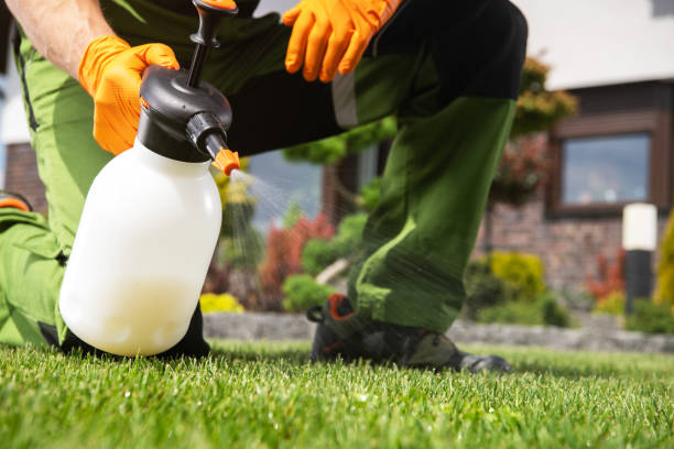 Best Bed Bug Extermination  in Eastpointe, MI