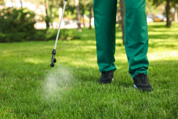Best Pest Control Near Me in Eastpointe, MI
