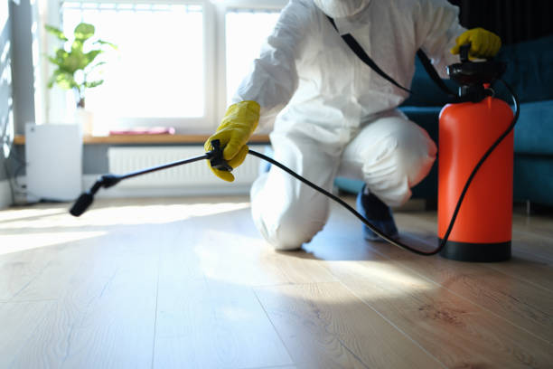 Professional Pest Control in Eastpointe, MI