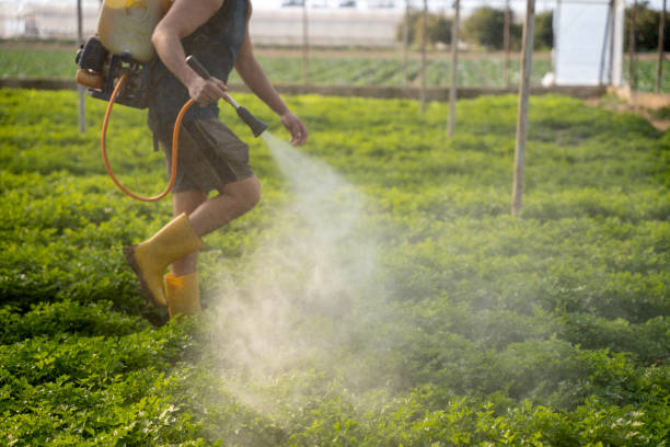 Best Ant Control Services  in Eastpointe, MI