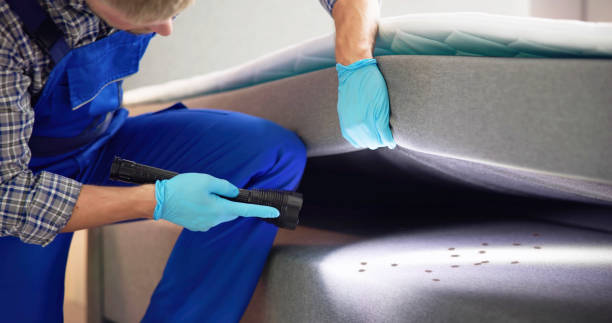Best Local Pest Control Services  in Eastpointe, MI