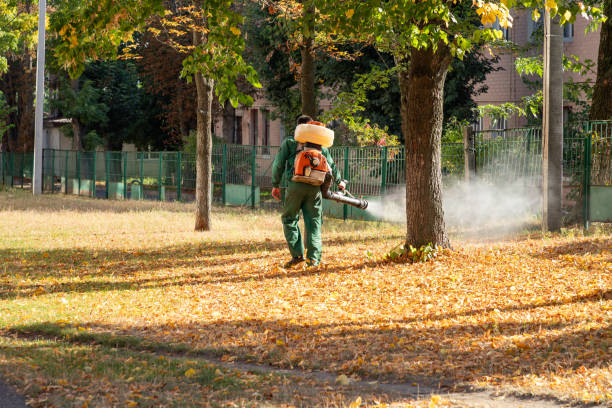 Best Bird Control  in Eastpointe, MI