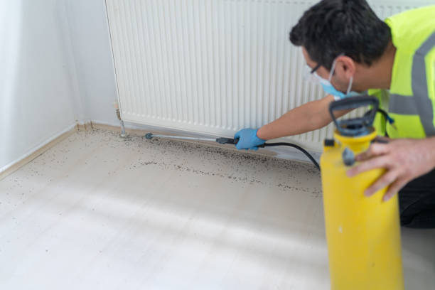 Best Pest Inspection Near Me  in Eastpointe, MI