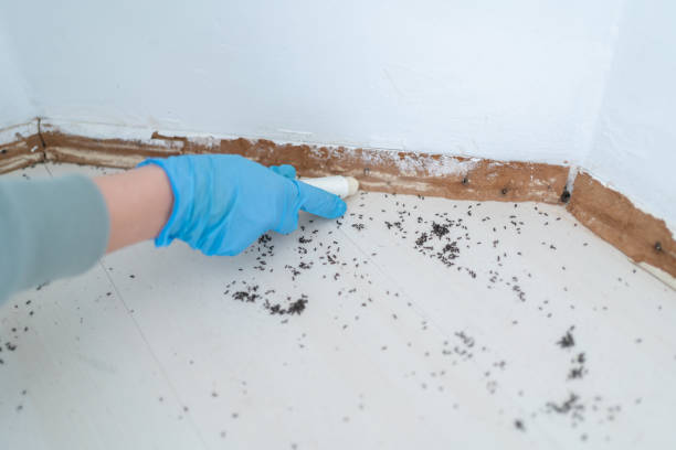 Best Commercial Pest Control Services  in Eastpointe, MI