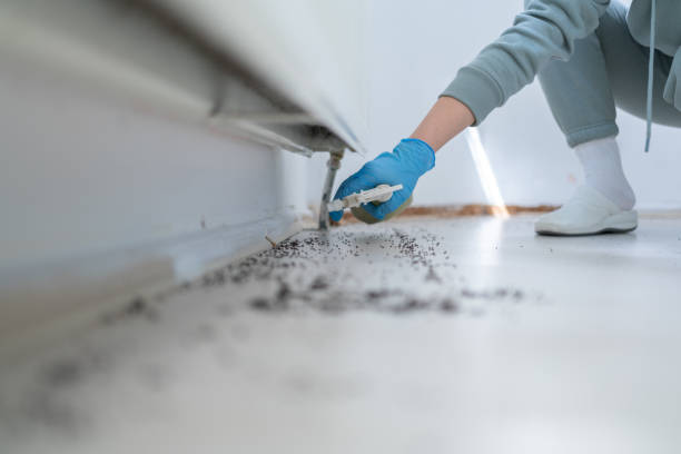 Best Pest Control Near Me  in Eastpointe, MI